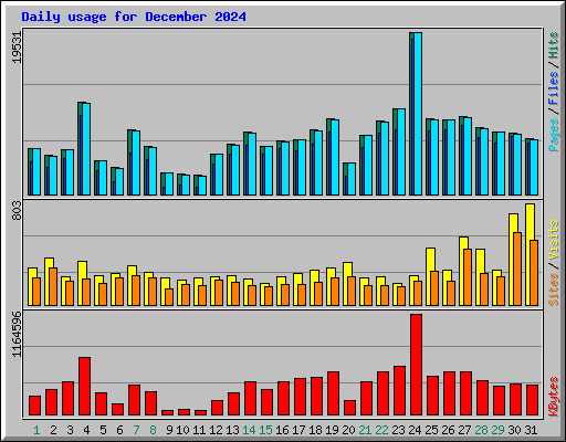 Daily usage for December 2024