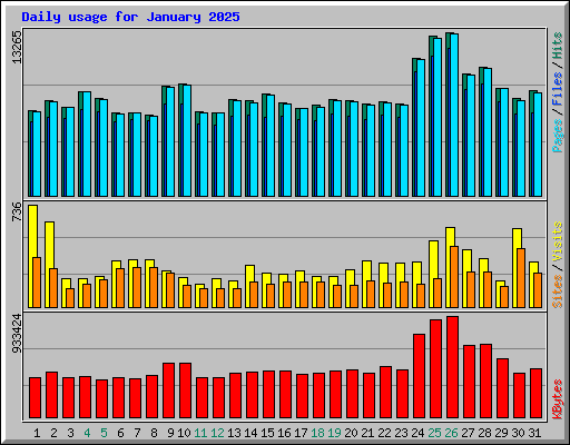 Daily usage for January 2025