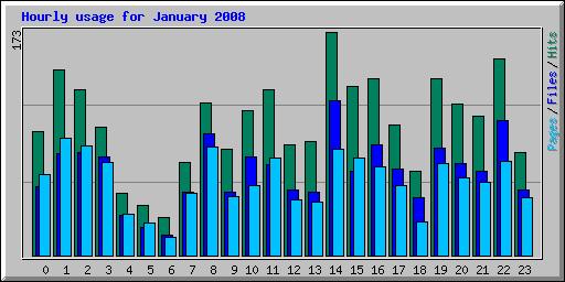 Hourly usage for January 2008