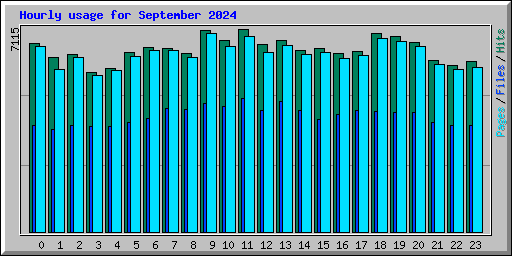Hourly usage for September 2024