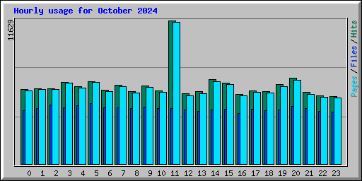 Hourly usage for October 2024