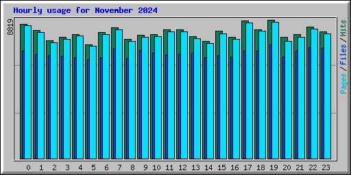 Hourly usage for November 2024