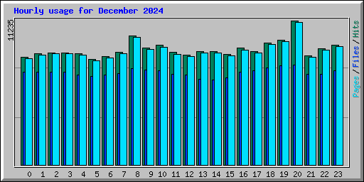 Hourly usage for December 2024