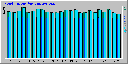 Hourly usage for January 2025