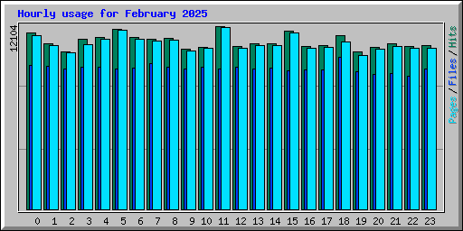 Hourly usage for February 2025