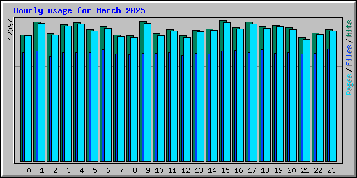 Hourly usage for March 2025