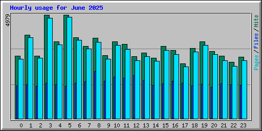 Hourly usage for June 2025