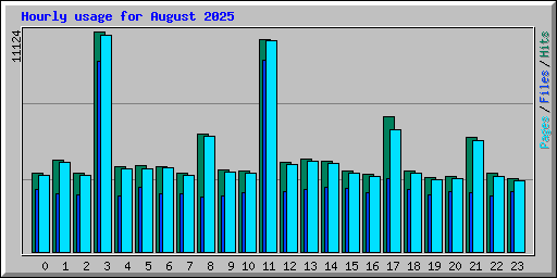 Hourly usage for August 2025