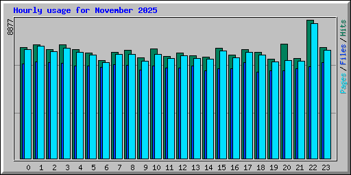 Hourly usage for November 2025