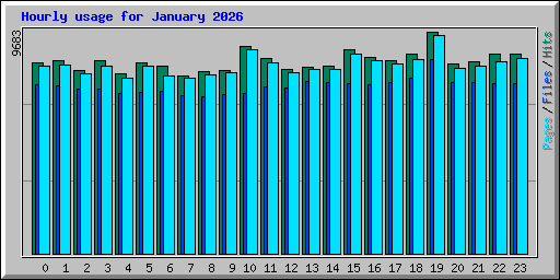 Hourly usage for January 2026