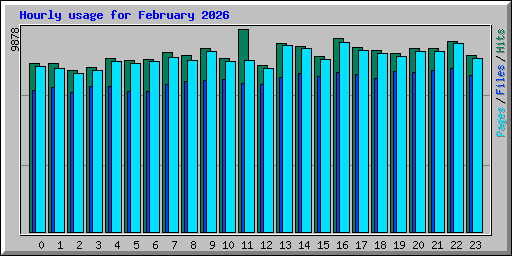 Hourly usage for February 2026